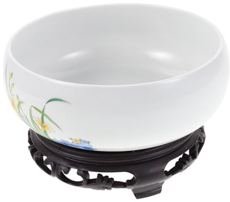 FUTUREORYY Maceta De Blanca para Orquídeas Maceta De Decorativa De Blanca para Suculentas