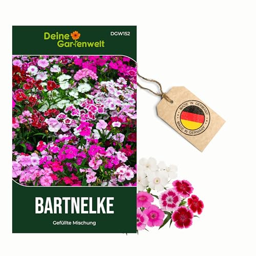 Bartnelke Gefüllte Mischung Samen - Dianthus barbatus - Nelkensamen - Blumensamen - Saatgut für 200 Pflanzen – 5er Pack