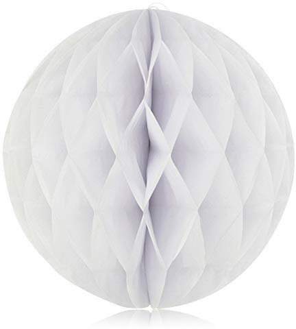 YFZYT 10er Seidenpapier Blumen Pompoms Set, Wabenbälle Lampions Girlande Dekoration für Hochzeit Party Baby Duschen Geburtstag Bankett Zimmer Deko - 6 Zoll, Weiß