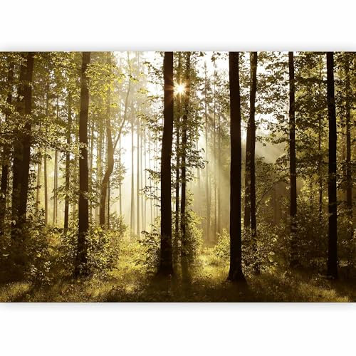 murando Photo Wallpaper 400x280 cm Non-Woven Premium Art Print Fleece Wall Mural Decoration Poster Picture Design Modern Landscape Natural Forest Trees c-B-0254-a-a
