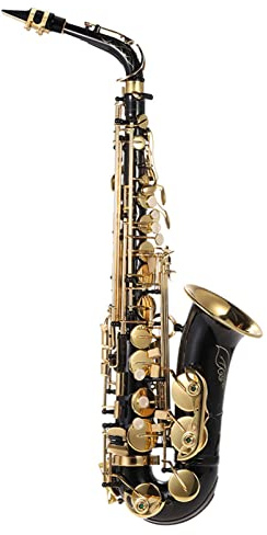 summina Eb Alto Saxophone Brass Lacquered Gold E Flat Sax 82Z Key | Type Woodwind Instrument with Cleaning Brush Cloth Gloves Strap Padded Case