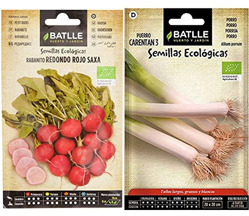 Rabanito Red rojo SAXA - ECO & Puerro Grueso de Carentan 3 - ECO