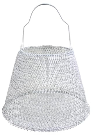 Baoblaze Porta-Cestino per Uova, Porta-Uova, Porta-Frutta, Multiuso, per Raccogliere Le Uova, in Filo Metallico, per Il Bancone della Cucina, per Il Pane, per, Argent
