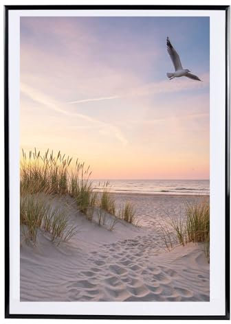 IDEAL TREND Bilderrahmen in Schwarz Fotorahmen aus Kunststoff Bilder Foto Posterrahmen Collage AC-6: Farbe: Schwarz | Format: 50x70