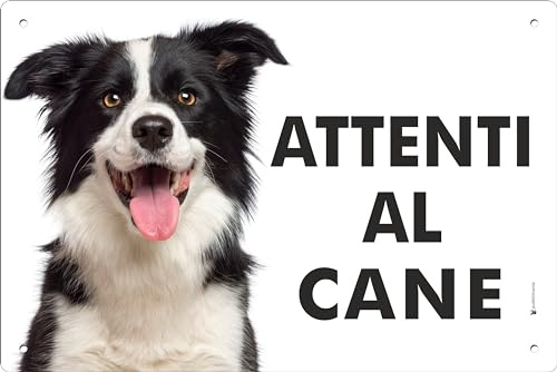 Pubblimania Cartello Attenti al Cane Border Collie - Targa Segnaletica in Alluminio composito 3 mm di spessore - Resistente alle Intemperie e ai Raggi UV - Fori Pre-perforati (Cm 15x20)