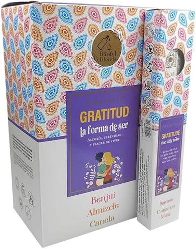 Vijayshree Natürliche Räucherstäbchen Gratitude- Freude, Gelassenheit und Lebensfreude - 12 Packungen à 25 g (Gratitude)