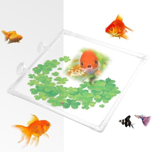 Aquarium Floating Plant Rings | Fish Feeder Plant Rings,Aquarium Feeder Fish Tank Feeder, Plant Corral Fish Food Feeder Acrylic, Betta Feeding Ring