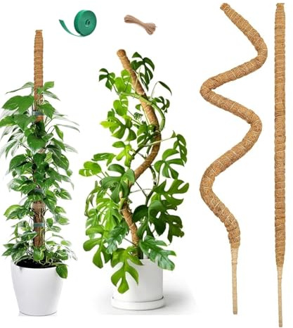 60 cm x 2 Pièces Tuteur en Mousse de Coco Flexible | Tuteur Naturel pour Plantes Jeunes Monstera, Hoya | Noyau Aluminium Anti-Rouille + Accessoires