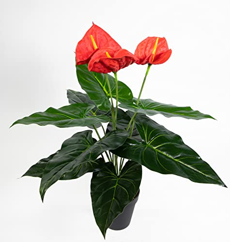 Seidenblumen Roß Anthurie Real Touch 50cm rot im Topf ZJ Kunstpflanzen Kunstblumen künstliche Flamingoblume Blumen