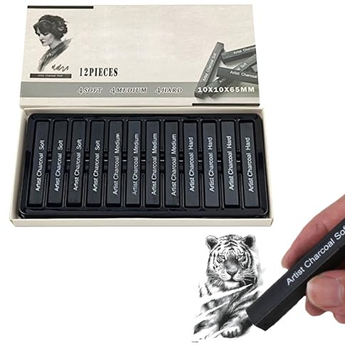 Helweet Carboncino Compresso, Carboncino Morbido, Matite per Schizzo Carbone, Set di Carboncini per Disegni, Bastoncini di Carbone Per Disegno, Per Pittura, Design e Campi Artistici, 12 Pezzi