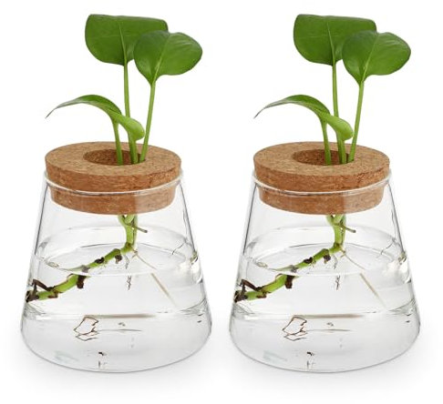 Hydrokultur-Glasflasche Hydrokulturpflanzen Topf Übertopf Reagenzglas Vase Anzuchtstationen Hydrokultur-Blumenvase Terrarium Wasserpflanzung Terrarium Wasserpflanzvase