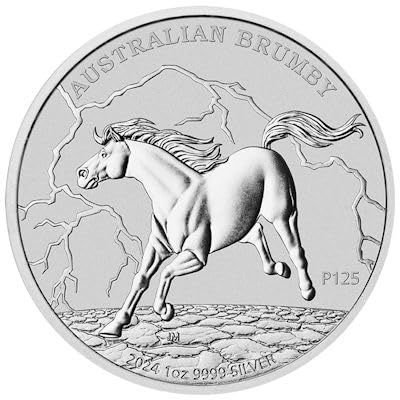 Generisch 1 Oz Silber Australien Brumby Horse 2024 1 Unze Silbermünze Silver Coin
