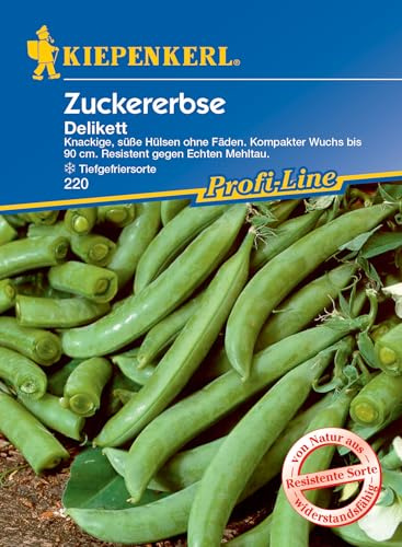 Kiepenkerl Profi-Line Zuckererbsensamen Delikett 220 - Knackige, süße Hülsen ohne Fäden. Kompakter Wuchs bis 90 cm, resistente Sorte - Gemüsesamen, Samen Gemüse