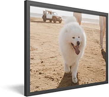 PICANOVA – Gerahmtes Bild auf Fotoboard 60x40 cm – Ihr Eigenes Foto auf Fotoboard als Personalisierte Wanddeko – Wandbild mit Wunschmotiv – Personalisierbares Geschenk