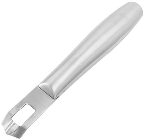 Griglia di Formaggio, Limone in Acciaio Inossidabile Pelapatrice Citrus Zester Grattugia Limone Zestro Grattugia Vegetale per Bar Ristorante (SILVER)