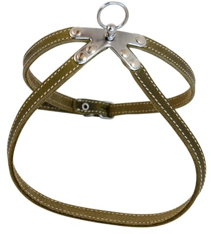 Jack and Vanilla, Robustes Ledergeschirr für Haustiere, individuelle Passform, Elegante grüne Farbe, ideal für Spaziergänge und Abenteuer, Maße 10 x 30 cm, Ledermodell