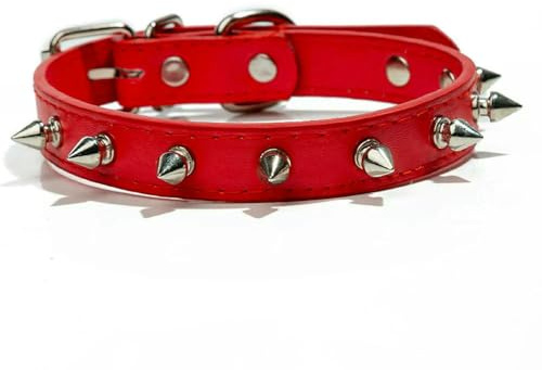 TPIONEER Hundehalsband mit Spikes für Hunde Kleiner Rassen, einreihiges Haustierhalsband aus Leder mit Nieten, Anti-Biss-Halsband für Welpen, verstellbar, für Katzen