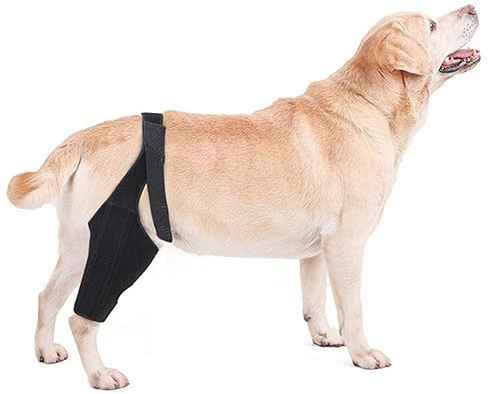 SUYUKU Hunde-Kniebandage für ACL mit Seitenstabilisatoren Hunde-Chirurgie-Erholung Leckmanschette Gelenk-Sprunggelenk-Stütze Hunde-Bein-Sprunggelenk-Bandage Karpalstütze schützt Wunden Bandage heilt
