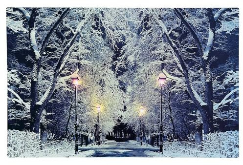 zeitzone LED Bild Schneelandschaft Park Beleuchtet Weihnachten Winterlandschaft 38x58cm