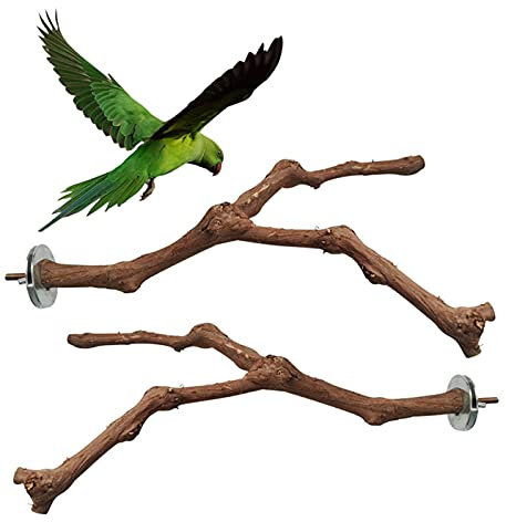 Ockyunoo 2-stückige Naturholz Vogelplattform für Nymphensittiche & Sittiche mit Natur-Sitzstangen