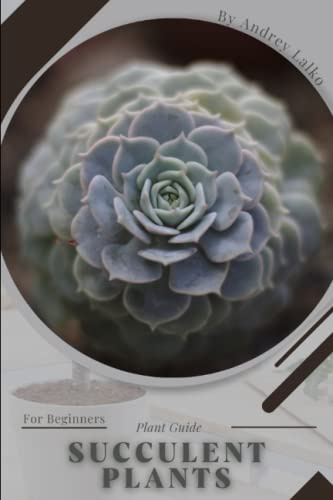Succulent Plants: Plant Guide