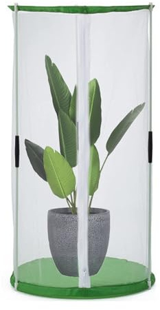 Blleshelfl Lot de 2 petites tentes d'hivernage pour plantes Transparent 55 x 30 cm