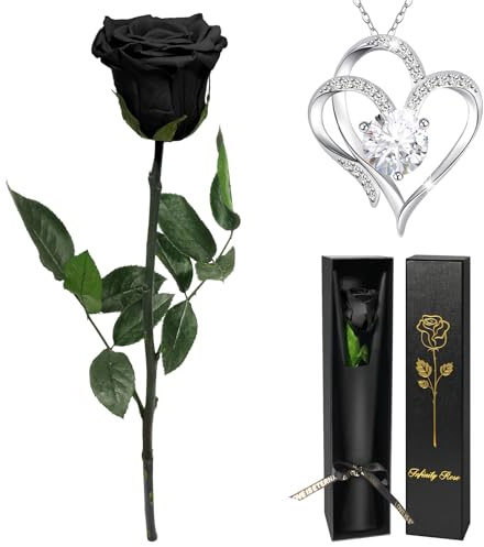 Yamonic Ewige Rose Geschenke für Frauen, Ewige Echte Rose mit Herz Halskette Damen Geschenke Freundin Mama Oma,Infinity Rose mit Kette,Frauen Geschenk Weihnachten Geburtstag Valentinstag Muttertag