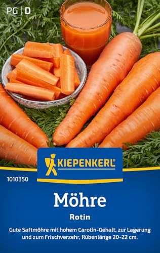 Kiepenkerl Möhrensamen Rotin 1010350 - Saftmöhre mit hohem Carotingehalt - zur Lagerung und zum Frischverzehr - Gemüsepflanzen, Saatgut, Samen Gemüse, Karotten | saftig, hoher Carotingehalt, lagerfaehig, ideal zum Frischverzehr, aromatisch, ertragreich
