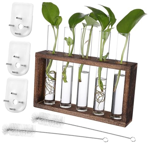 BAZEITFLOW Vase de Propagation Suspendu Verre avec Support Bois Tubes à Essai pour Boutures Plantes Intérieur Station Murale Bureau pour Pothos Vignes et Plantes Aquatiques