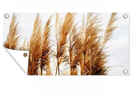 MuchoWow Poster exterieur Herbe de la pampa - Soleil - Herbe Decoration murale 160x80 cm Résistant aux intempéries/soleil