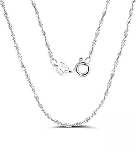 XINCHENG 2mm Chain Necklace, Silver Chain with Lobster Claw Clasp, Silver Necklace Chain for Men Women, Twisted Rope Chain Necklace 16 18 20 22 24 26 28 30