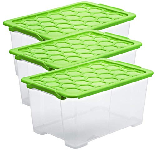 Rotho Evo Safe Keeping Set di 3 Scatole di Conservazione con Coperchio, Plastica (PP) senza BPA, Verde/Trasparente, 3 x 44 L, 59.0 x 39.5 x 28.0 cm
