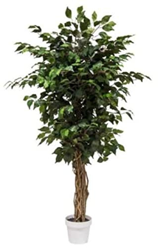 VEA SRL Pflanze G. FICUS 130cm 57189