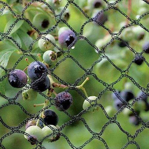 2 m x 3 m - Anti Bird Netting for Heavy Duty Ponds Fruit Trees Crop Plants Vegetables & Bushes. Strong, Black Professional Grade Bird Proof Deterrent Prevention Mesh, (2-3-BLACK-ARI)