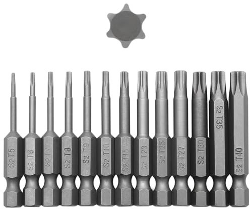 13 Stück Torx Schraubendreher Bits Set, 1/4 Magnetisch Sternenkopf Schraubenziehe Set, Sechskant Schaft Elektrische Torx Bits Satz Werkzeuge, T5 T6 T7 T8 T9 T10 T15 T20 T25 T27 T30 T35 T40, S2