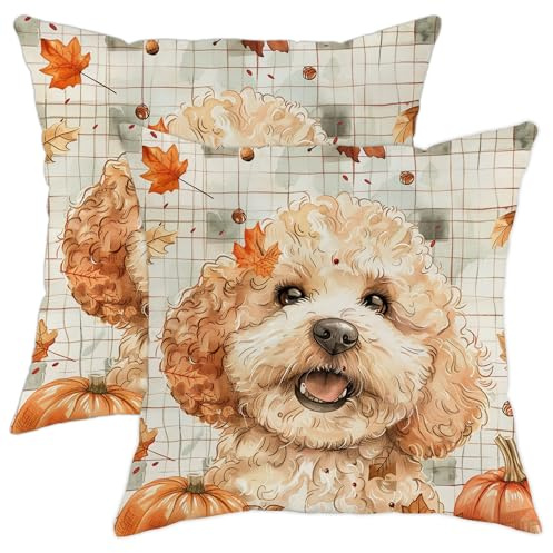 Set di 2 federe per cuscini autunnali a quadri con barboncino, 45,7 x 45,7 cm, comode federe in velluto con stampa di zucca autunnale, kit con cerniera, decorazione per casa, divano, soggiorno, letto