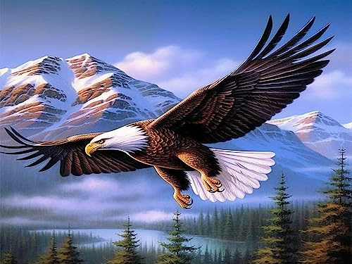 Bimkole DIY 5D Diamond Painting Zubehör Adler, Schnee Bäume Tiere Diamant Malerei Kit Voll Runde Bohrer Malen nach Zahlen Malerei Stickerei Kreuzstich Diamond Dekoration, (40x50 cm)