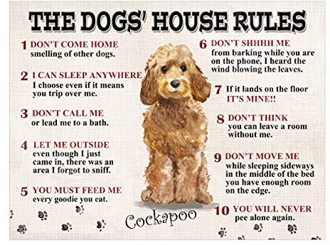 The Dog's House Rules Cockapoo Metal Tin Sign Plaque Poster size 10x8in ref8563
