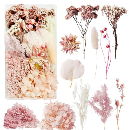 Slvoaujtk Fiori Secchi Decorativi Fiori Secchi per Candele Fiori Secchi per Bomboniere Fiori Secchi Fiori Secchi per Resina Fiori Secchi Naturali per la Decorazione Artigianale Fai da Te (Rosa)