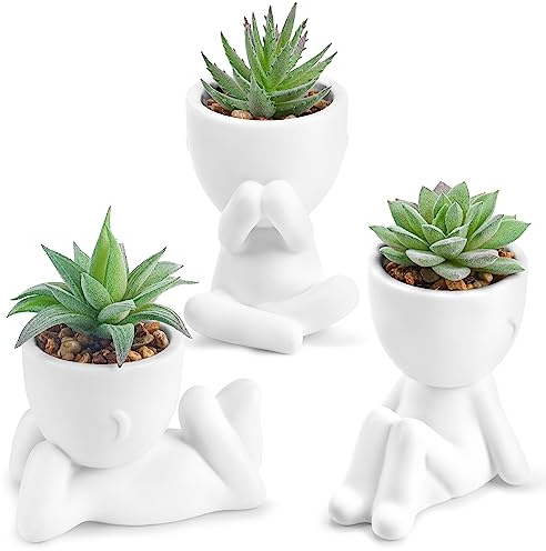 Der Rose 3 Plantas suculentas Falsas Artificiales para Baño, Dormitorio, hogar, habitación, decoración EstéTica Interior