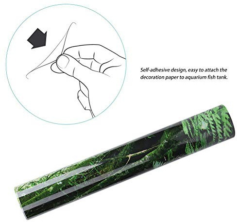 aqxreight PVC Reptile Box Rainforest Background Poster Fish Tank Wall Picture Painting Decoration Self Adhesive Sticker One Side with Its Ow Fish Tank Poster