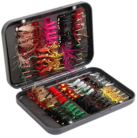 100 Stück Fliegenfischer Set, Fliegenfischen Fliegen Set mit Aufbewahrungsbox Nass-Trockenfliegen Nymphen Streamer Fliegenköder Köder Haken für Forelle Barsch Lachs Fliegenfischen Zubehör