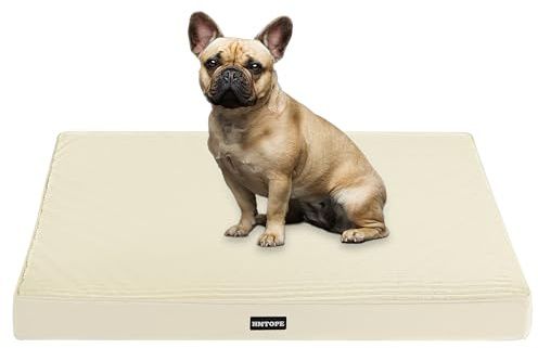 HMTOPE Orthopädisches Hundebett, 8cm Dicke Hundekissen für Kleine Hunde, Abnehmbar und Waschbar Hundematte, rutschfeste Unterseite, Wasserdichtes Innenfutter, 76 cm, Beige