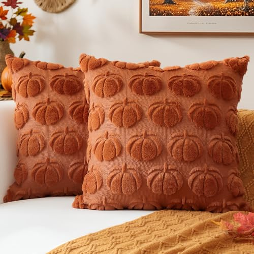 JOTOM Fall Cushion Covers 45x45cm Set of 2 Pumpkin Autumn Thanksgiving Decorative Throw Pillow Covers Soft Plush Faux Fur Pillow Case for Home Bedroom Couch Sofa Decor (Rust)