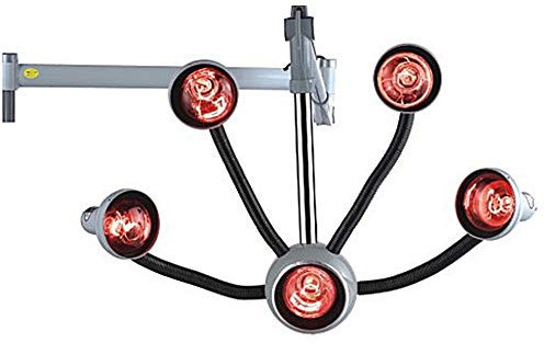 5 Kopf Infrarotlicht Wärmetherapie Rote Lampe An der Wand montierte professionelle Haarwelle Farbbeschleuniger Prozessor Barber Spa Friseur Heizungsbehandlungsmaschine, 750W,Weiß