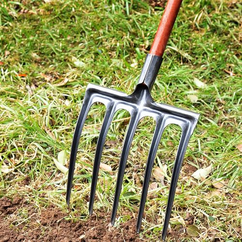 Garosa FORCHIO della GARDENT REFERE con Un GARDENT Alta di Acciaio Alto per Il GENERAMENTO E FUCCHIO Generale - Adatto per Uso Commerciale (5 Denti)