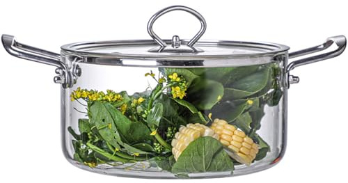 Kochtopf, Glastopf zum Kochen, durchsichtig, mit Deckel und Stahlgriff, großer Glas-Simmertopf für Zuhause, Küche, Restaurant, Glaskochgeschirr, Herd und Spülmaschine, 2,5 l