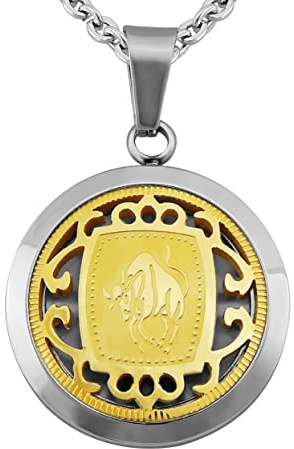 Hanessa Sternzeichen Halskette in Silber – Edelstahl Kette mit Anhänger & Gravur – Personalisierter Schmuck für Damen & Herren, 50-60 cm – 12 Sternzeichen zur Auswahl
