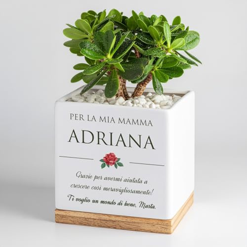 Maverton Vaso per piante, ceramica, stampa personalizzata | Vassoio sottovaso, fioriera quadrata, dimensioni 13,5 x 13 x 13 cm, regalo di compleanno, pensiero per donna, rosa rossa