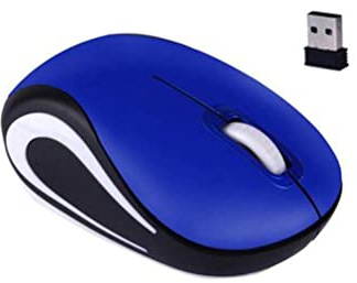 SanSixi Mini-Souris sans Fil pour Ordinateur Gaming Petite Souris Portable 1600DPI Optique USB Ergonomique Souris USB pour PC Portable Cadeau (Blue)